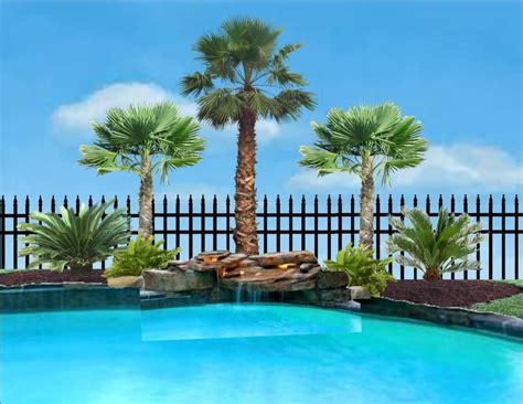 Pool Landscaping Ideas With Palm Trees And