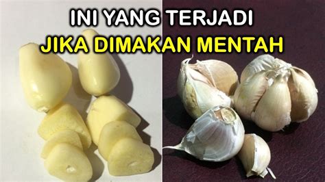 Bawang putih memang baik untuk dikonsumsi, namun kalau dikonsumsinya secara berlebihan bisa menyebabkan efek buruk. Manfaat Makan Bawang Putih Mentah Setiap Hari Untuk ...