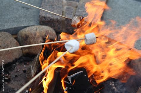 Roasting Marshmallows Takes In Hands Roasted On Campfire Marshmallow Candies Close Up Image