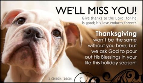 Well Miss You Ecard Free Thanksgiving Cards Online