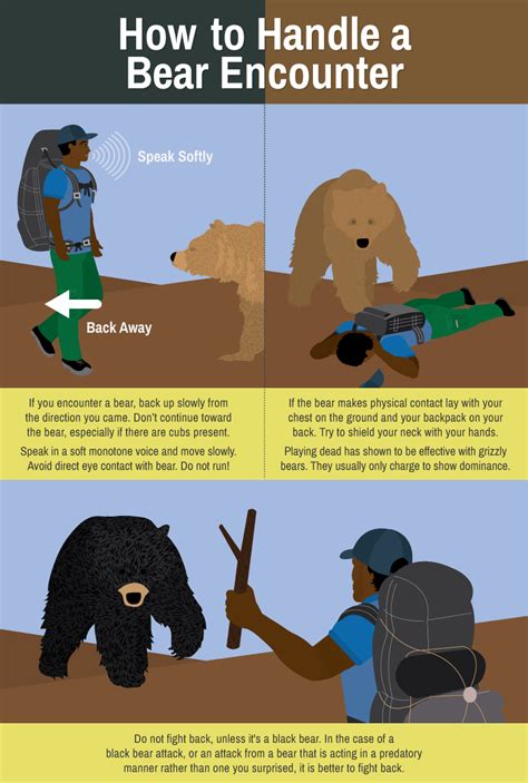 Be Safe In Bear Country