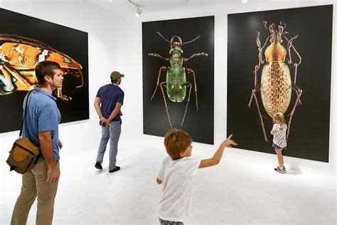 Microsculpture - The Insect Portraits of Levon Biss in 2021 | Museum ...