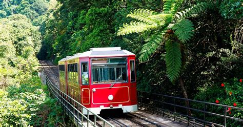 The venerable peak tram is, as most passengers agree, the only way to truly experience the beauty of hong kong's natural wonders. Itinerary Liburan 5 Hari 4 Malam di Hong Kong - Traveling ...