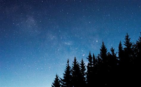 Bright Stars On A Dark Blue Sky Over Silhouettes Of Coniferous Trees