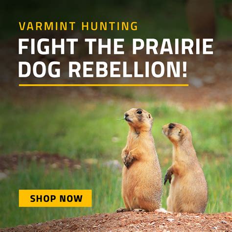 Varmint Hunting Varmint Rifle