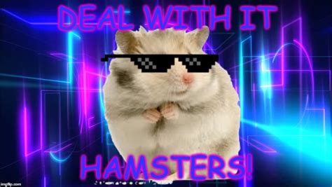 Hamster Cult Meme Discord Pfps Facerisace