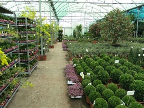 Puedes programar tu envío hoy, no esperes más. Claves para elegir las plantas de nuestra terraza | Plants ...