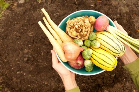 5 Veggies You Can Plant Now For A Pnw Fall Garden Pacific Northwest