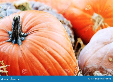 Orange Pumpkins Stock Photo Image Of Cooking Healthy 46112962