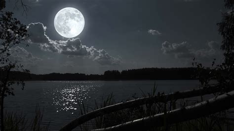 Full Moon Night Landscape With Forest Lake4ykygxqrf0000