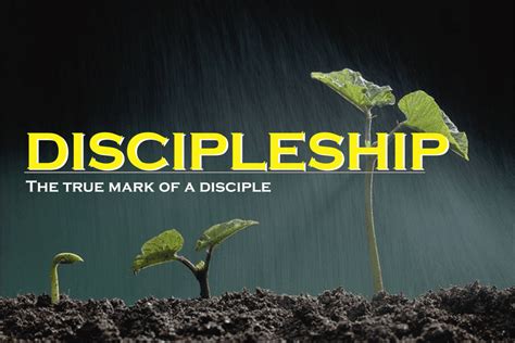 The True Mark Of A Disciple Waca Worldwide