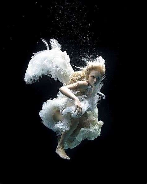 Buy Zena Holloway Prints Underwater Photography Moma