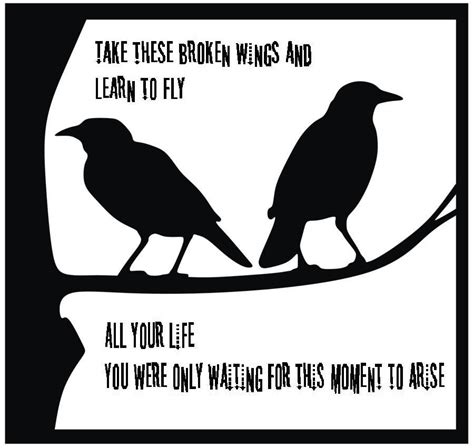 Take these broken wings and learn to fly lyrics. ...Take these broken wings and learn to fly. All your life ...