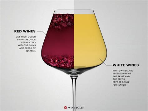 red wine vs white wine the real differences wine folly wine