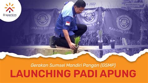 Gerakan Sumsel Mandiri Pangan Launching Padi Apung Youtube