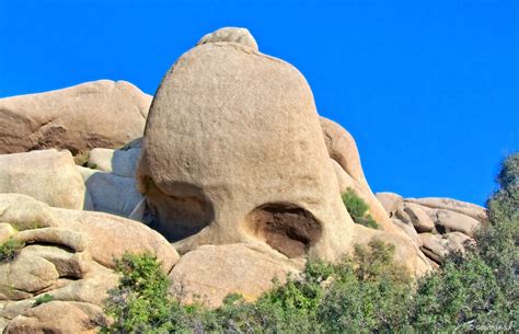 Rising Skull Skull Rock In The Joshua Tree National Park Flickr