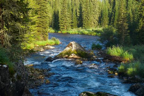 Mountain River And Forest Stock Image Image Of Scenics 2984293