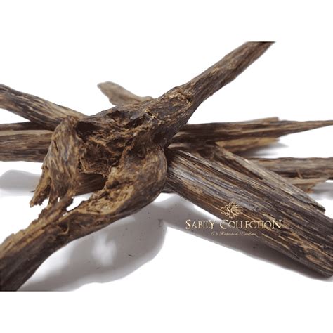 Wild Oud Chips Agarwood Brunei Triple Super Grade Sabily Collection Oud