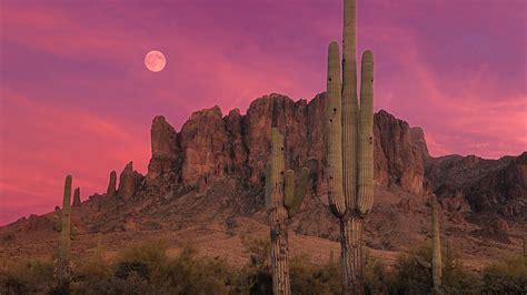 stunning pink desert sunset wallpaper | Arizona sunset, Desert sunset, Sunset wallpaper
