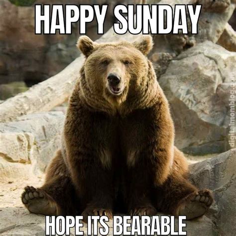 Happy Sunday Meme Vobss Sunday Meme Sunday Morning Memes Funny