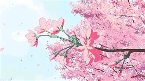 cherry blossom tree anime cherry blossoms japan cherryblossoms japan autumn