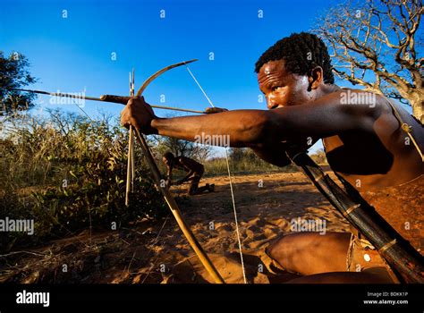 Ju Hoansi Bushmen San Avec Arc Et Flèche Dans Le Nord De La Namibie Zone Grashoek Photo Stock