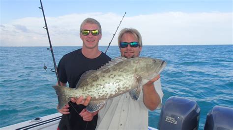 Siesta Key Fishing Charters Sarasota Florida Top Fishing Guides