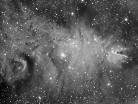 Ngc 2264 Christmas Tree Nebulas Fox Fur Nebula Cone Nebula