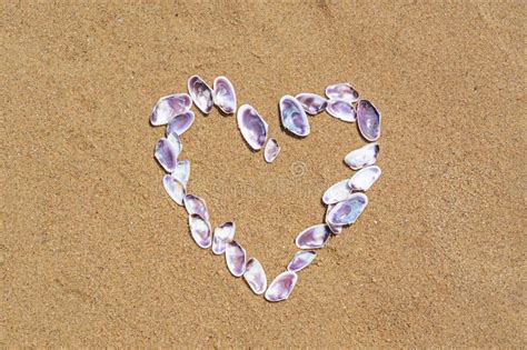 Heart Made With Beautiful Sea Shells On Wet Sand Flat Lay Stock Photo