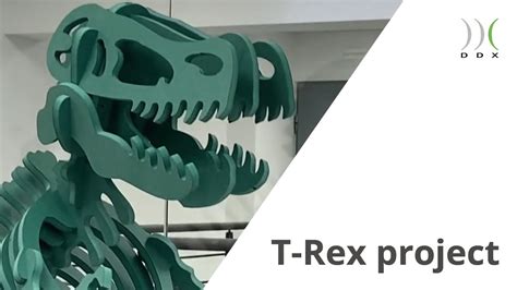 Ddx Software Solutions T Rex Project Youtube