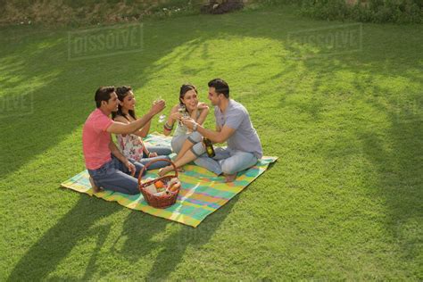 Four People On Picnic Blanket With Wine Celebrating Stock Photo