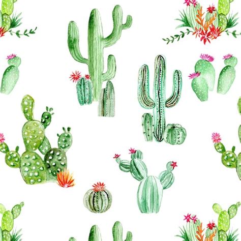 Watercolor Cactus Fabric By The Yard Cotton Knit Jersey Etsy