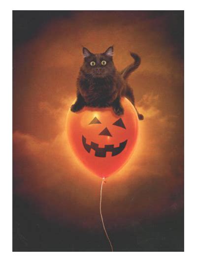 Halloween Greeting Cards For Cat Lovers Meow As Fluff