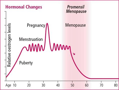 Menopause Health Hub Promensil