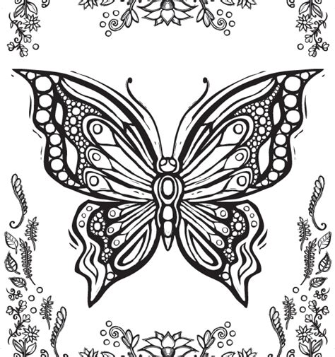 Amazing Awesome Butterfly Coloring Pages For Adults Clipart Large