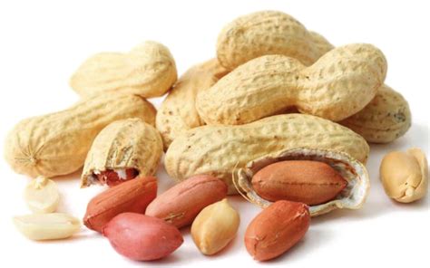 Peanut Png Images Transparent Background Png Play
