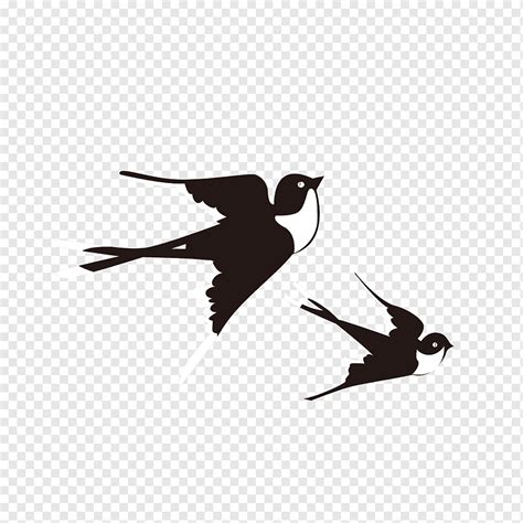 Swallow Bird Lichun Swallows Fly Insects Flying Silhouette Png