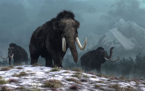 Woolly Mammoth Extinct Animals
