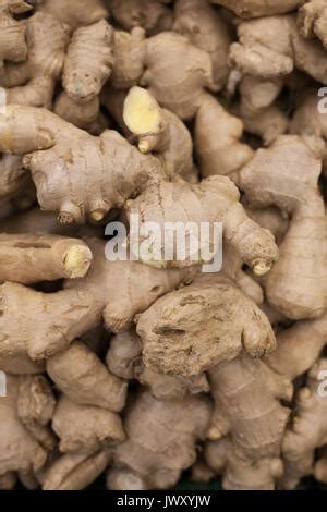 Dry Ginger Root Stock Photo Alamy