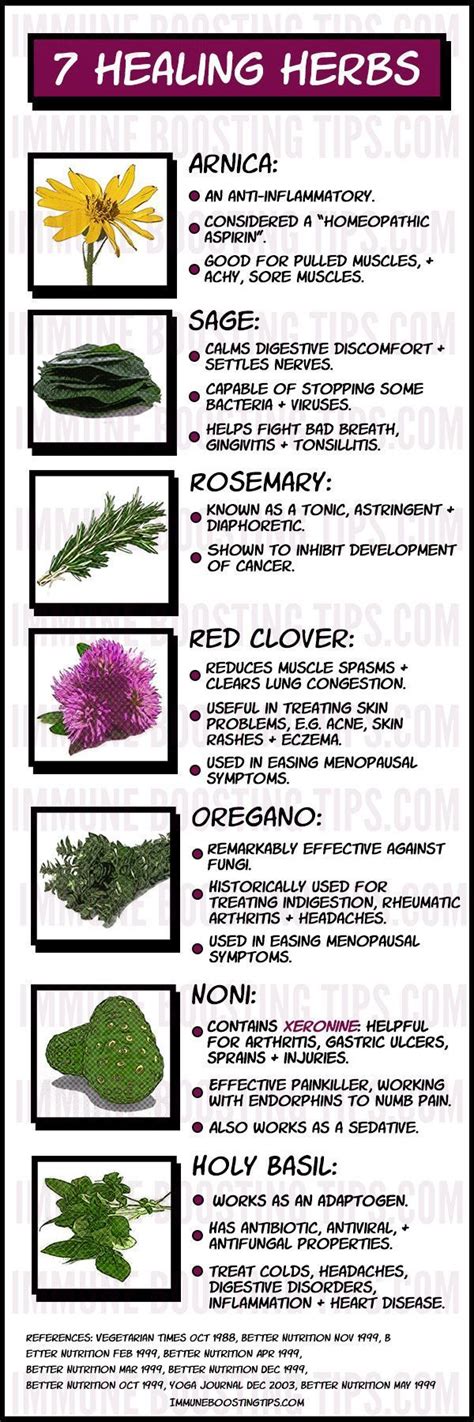 Medicinal Herbs For Healing Some The Best Medicinal Plants For Healing