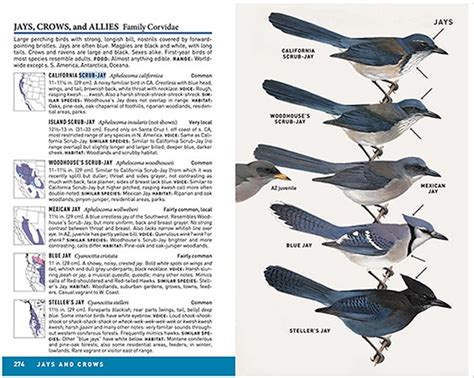 Peterson Field Guide To Birds Of Western North America And Peterson Field
