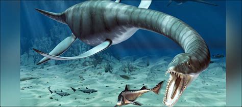 Giant Marine Reptile Lived In Antarctic 150 Million Years Ago Scientists