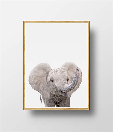 Baby Elefant Druck Wandkunst Baby Elefant Tier Druck Safari Etsy