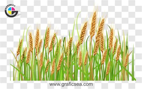 Free Clip Wheatfields Download Free Clip Wheatfields Png Images Free Cliparts On Clipart Library