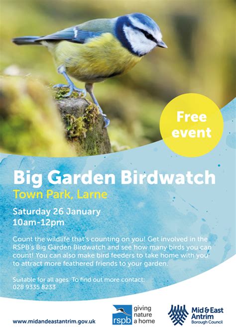 Big garden birdwatch 2014 tv ad. Rspb Garden Birds Poster | Fasci Garden