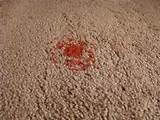Pictures of Remove Wax From Carpet