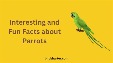 60 Interesting Facts About Parrots As Pets
