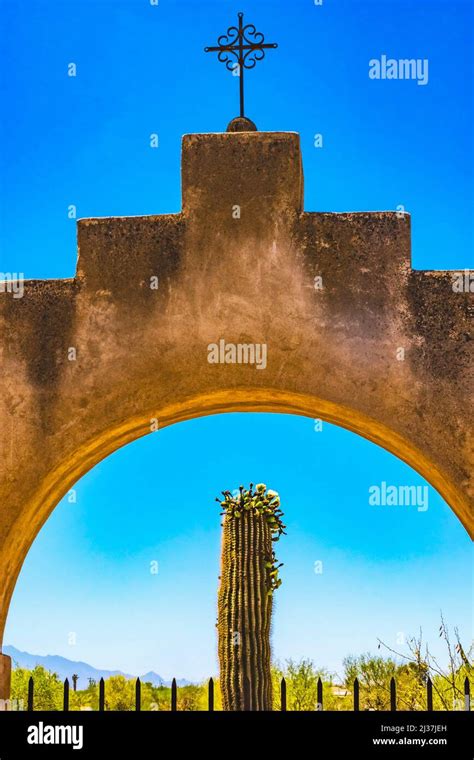 Garden Gate Cross Blooming Saguaro Cactus Mission San Xavier Del Bac