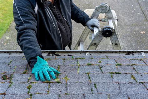 Pressure Washing Algae Removal For Your Roof Aandd Pressure Cleaning