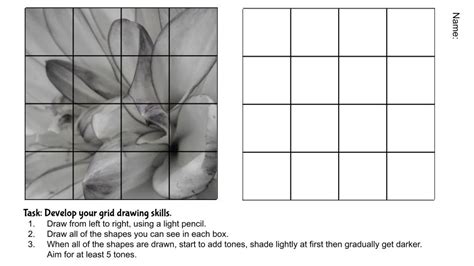 Grid Drawing Worksheets For Art Lessons The Art Teacher